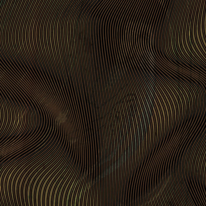 Pantalon de combinaison Alga homme 5 mm marron XL Seac 1-163-XL