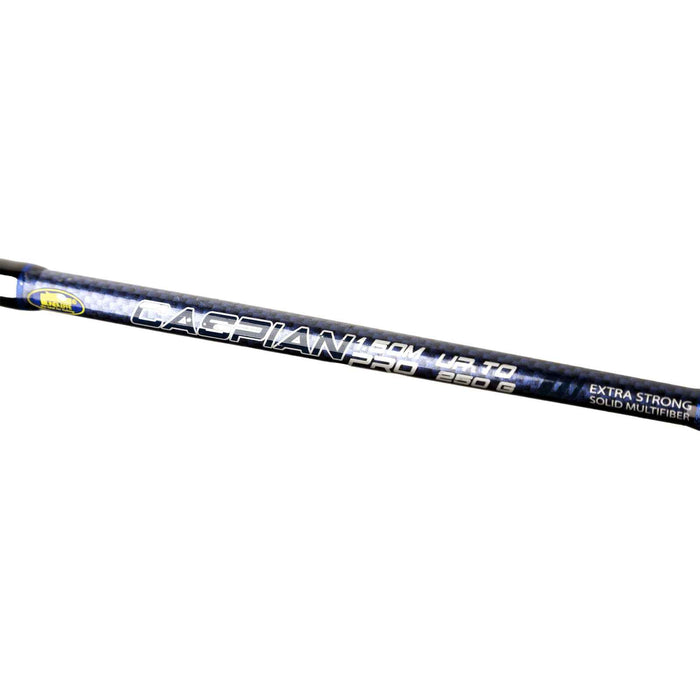 Varilla Caspian Pro 250g 1,65m Lineaeffe 2240316