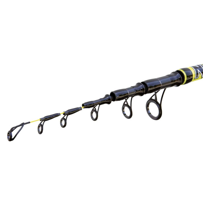 Rod Beach Queen 100g 4,20m Lineaeffe 2248542