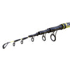 Rod Beach Queen 100g 4,20m Lineaeffe 2248542