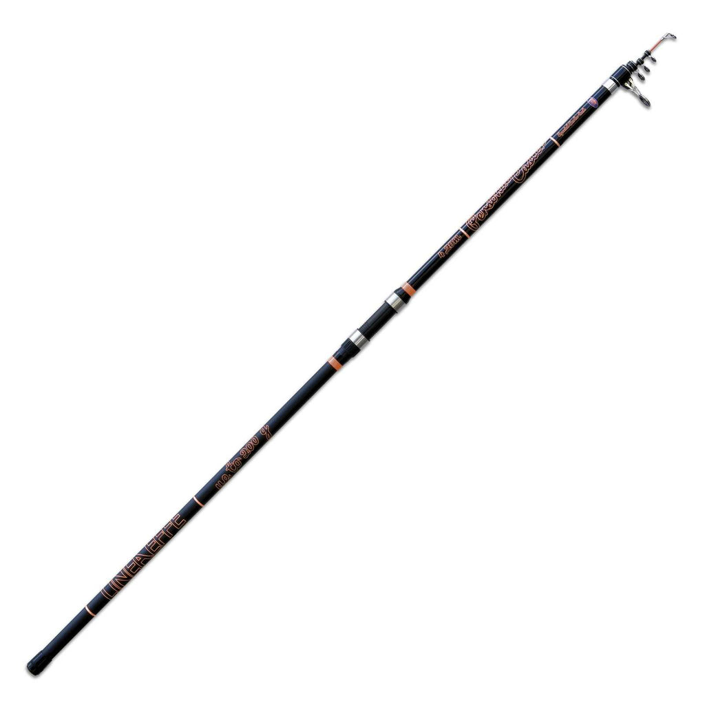 Rod Personal Caster Wtg 200g 4,20m Lineaeffe 2270142