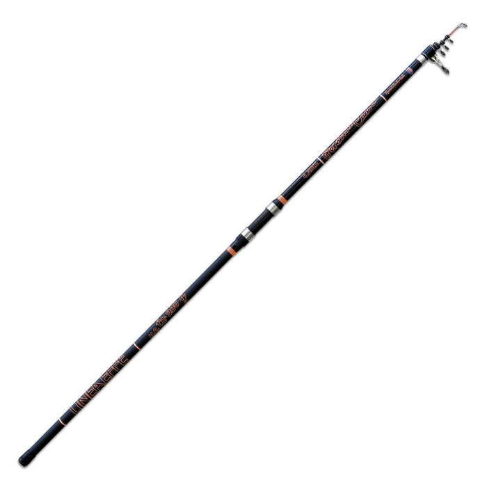 Rod Personal Caster Wtg 200g 4,20m Lineaeffe 2270142