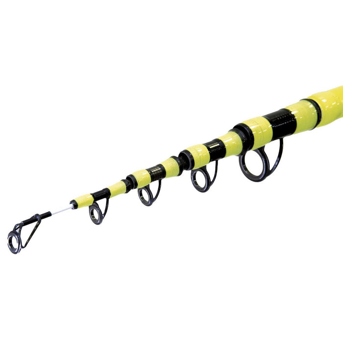 Rod Personal Caster Wwg 200g 4,20m Lineaeffe 2270242