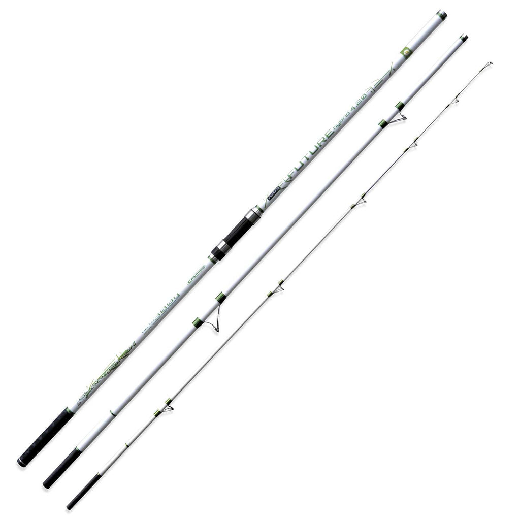 Caña Future Hybrid 300g 4,20m Pesca Ferrari 2289842