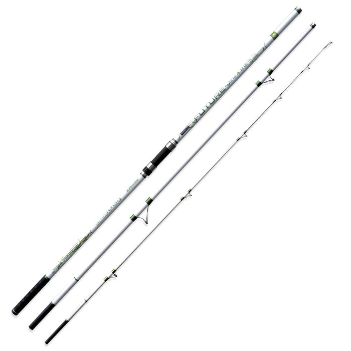 Caña Future Hybrid 300g 4,20m Pesca Ferrari 2289842