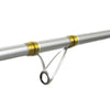 Canne Catalina Fuji 150-250g 4,20m Fishing Ferrari 2291143