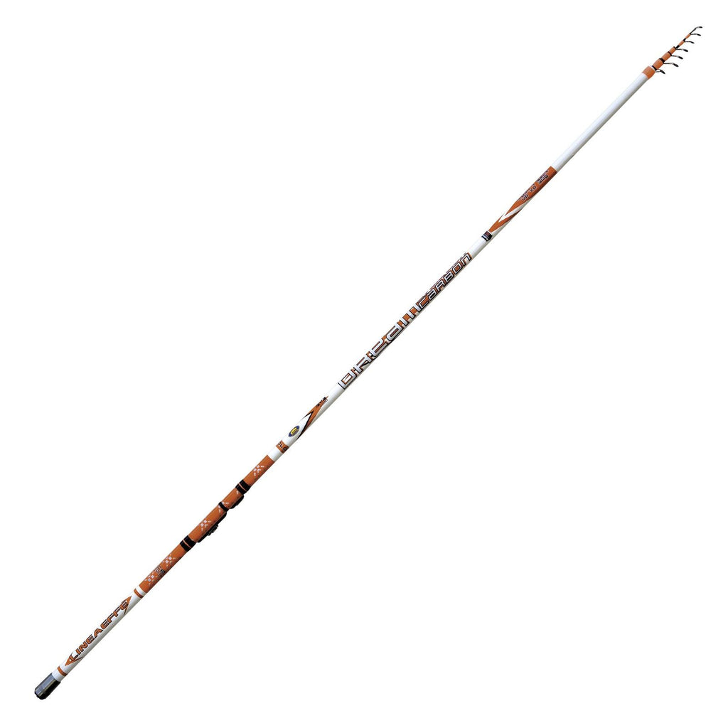 Canne Dream Carbon Evolution Bolo 8m Lineaeffe 2516808