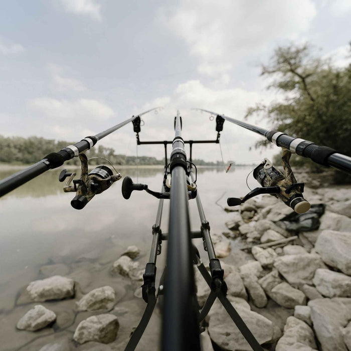 Caña Carp Chaser 3,60m Lineaeffe 2742536