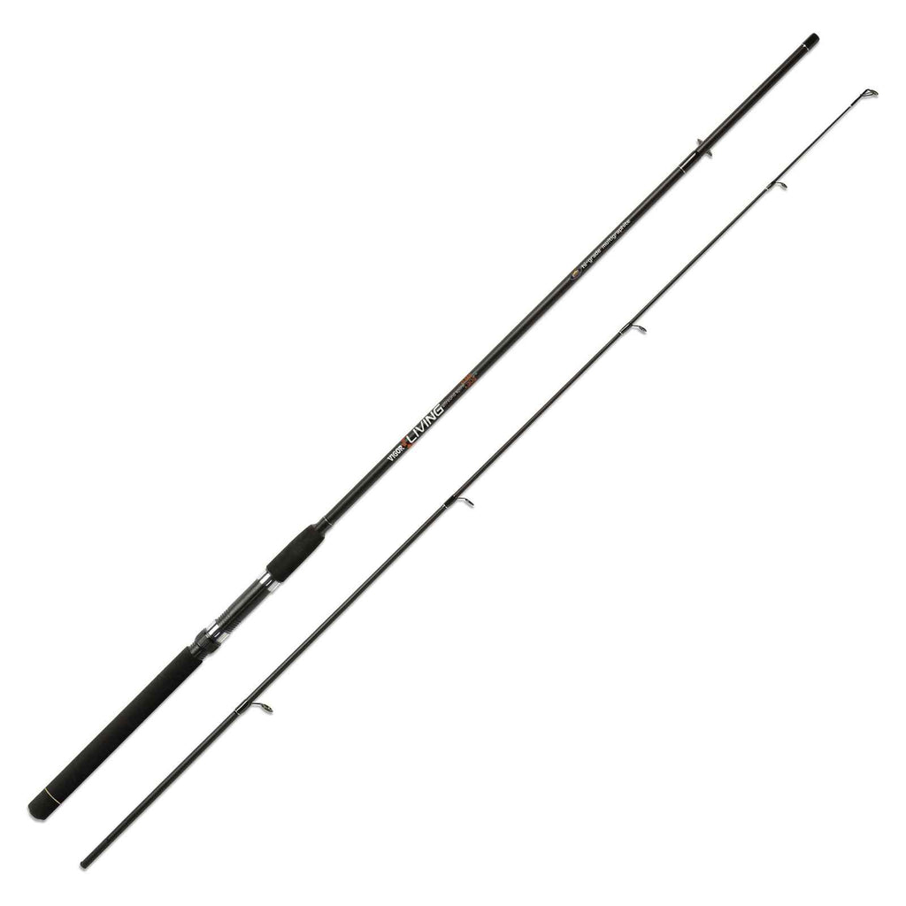 Canne Vigor Living 60g 1,80m Lineaeffe 2826118