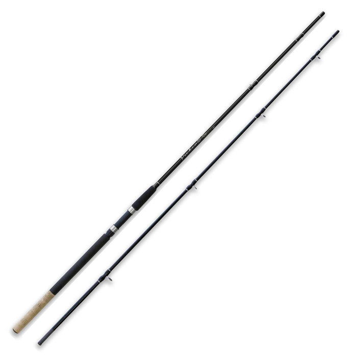 Rod Picker 25-75g 3,00m Lineaeffe 2854030