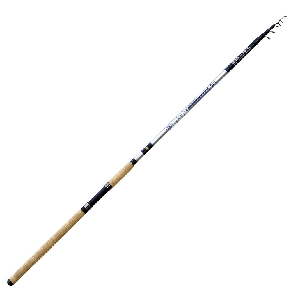 Rod Allway Second Edition 70g 3,60m Lineaeffe 2869836