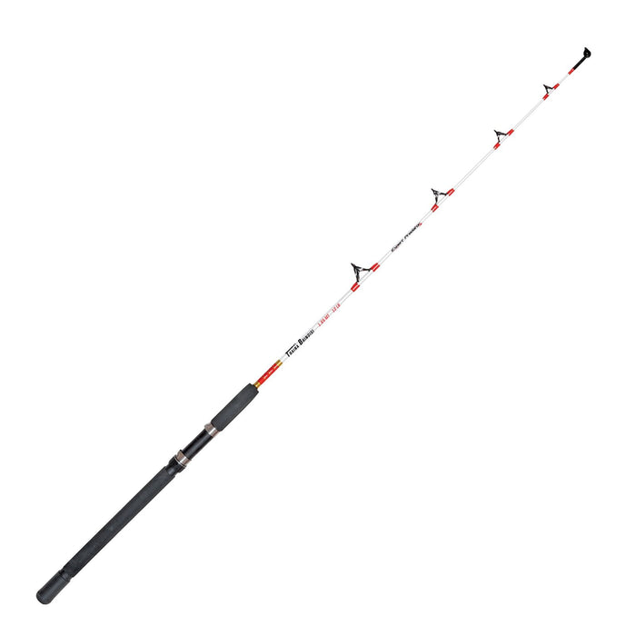 Canna da trolling salata Traina Brindisi 1,65m Expert Predator 31503