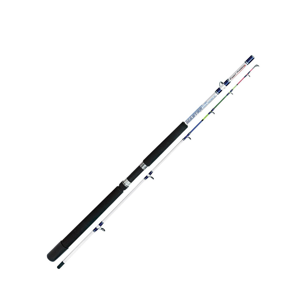 Canne à pêche de bateau en eau salée Master 100-180g 1,8m Expert Predator 31548