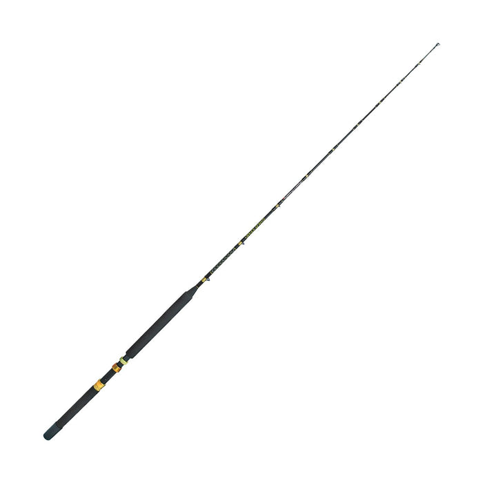 Canna da trolling salata Gold Star 1,65m Expert Predator 31565