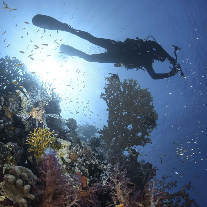 Détendeur de plongée 1er étage 62X INT Mares 416267INT