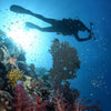 Octopus Atlas uso normale Mares 416567