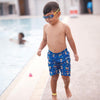 Lunettes de natation Little Sonic Air Enfant Bleu-Vert verres teintés bleus Zoggs 461418BLGNTBL