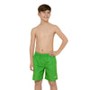 Short de bain Penrith 15'' Garçon Vert Taille M Zoggs 463475GNM