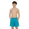 Short de bain Penrith 15'' Garçon Turquoise Taille S Zoggs 463475TQS
