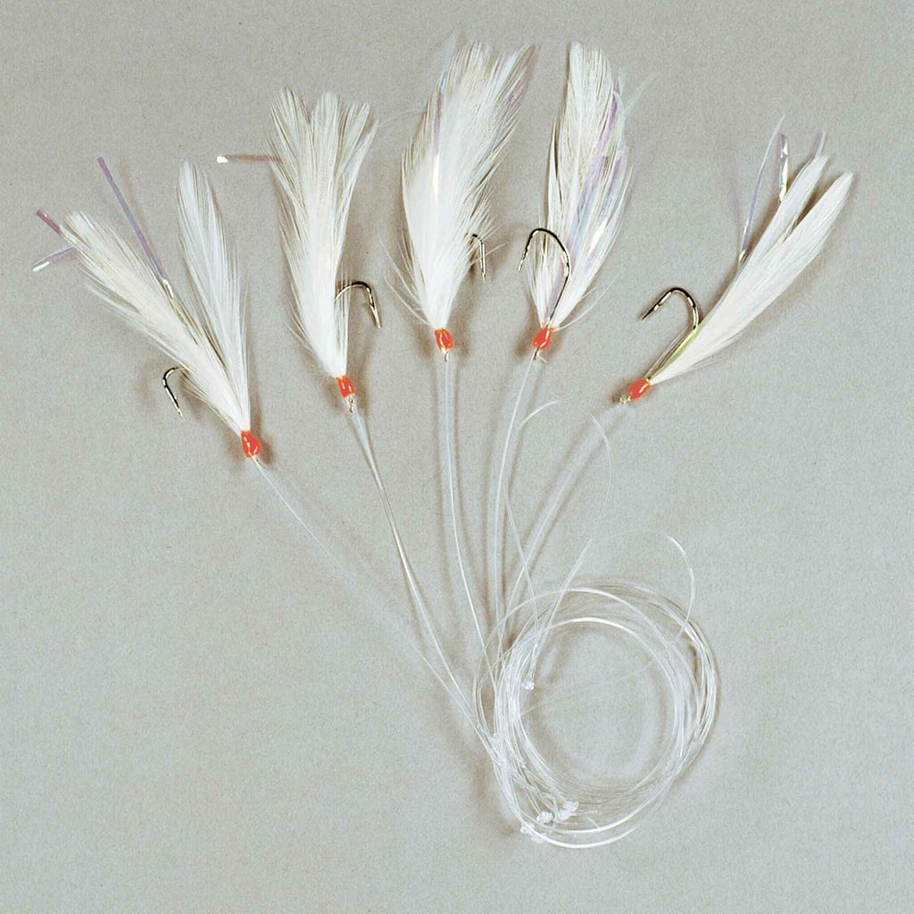 Rigs di Pesca 5 Ganci e Piuma Bianca Dimensione 2 Lineaeffe 5642402