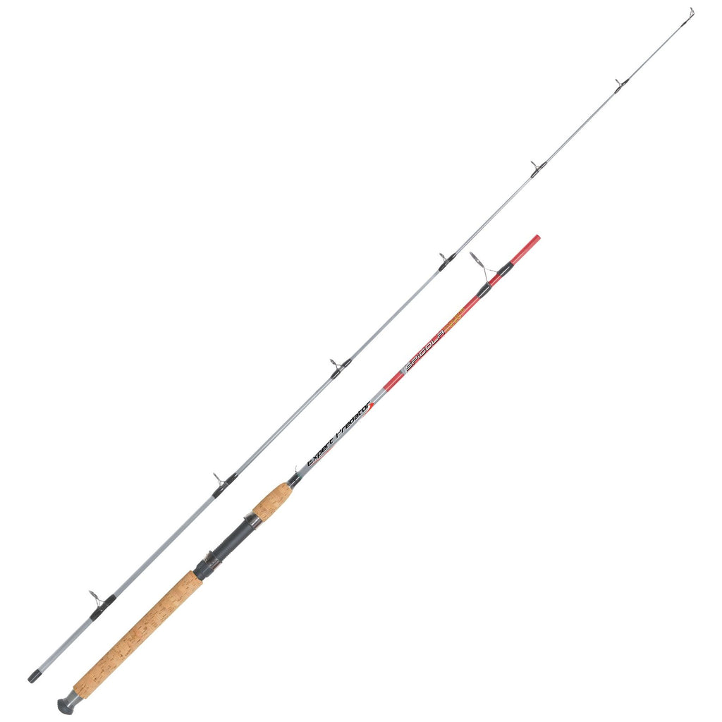 Spinning Rod Spigola 10-30g 2,40m Expert Predator 67025