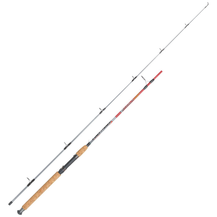Spinning Rod Spigola 10-30g 2,40m Expert Predator 67025