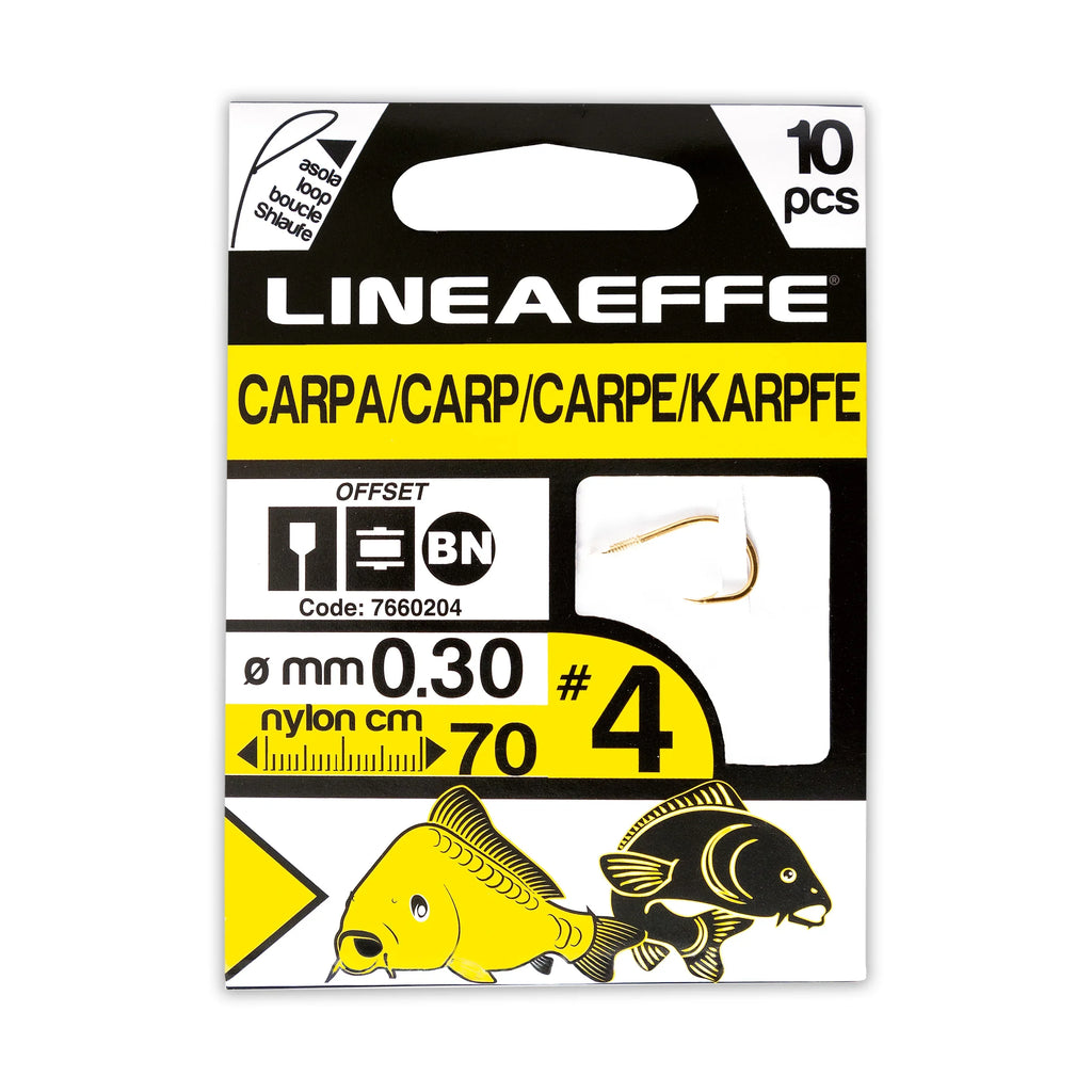 Fishing Hooks Lineaeffe Hi Quality Booklets Carp CM70