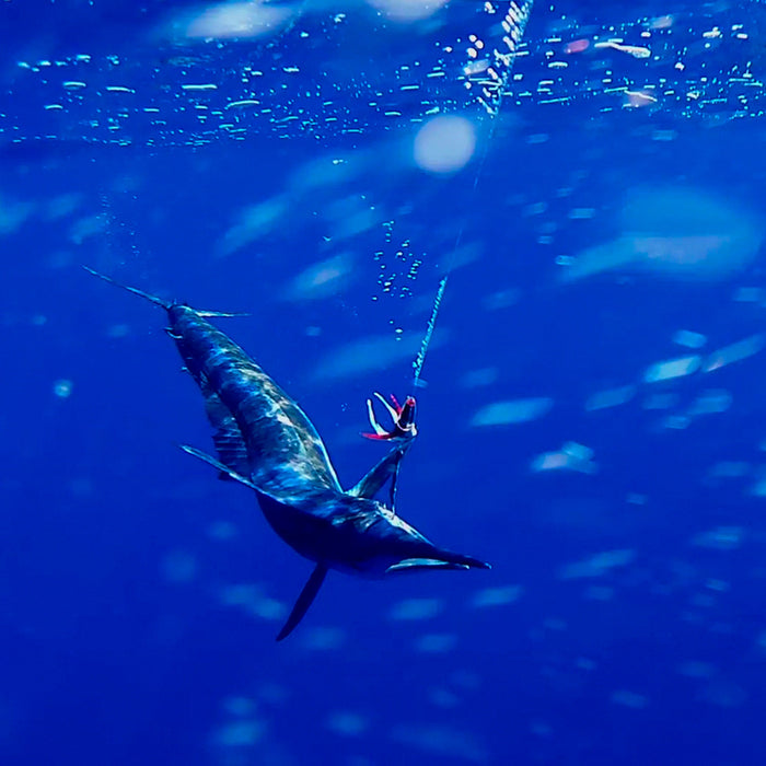 Caméra d'action de pêche sportive sous-marine à crochet