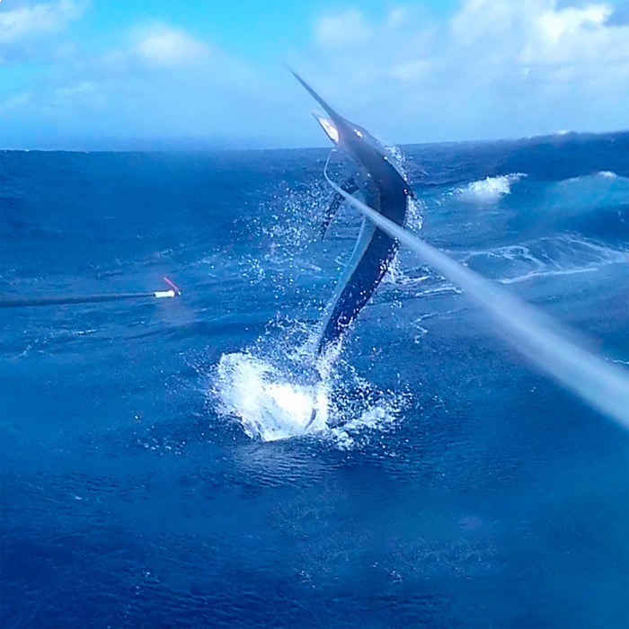 Caméra d'action de pêche sportive sous-marine à crochet