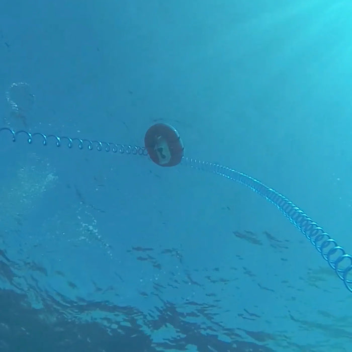 Buddy diver hoses 2x6m AirBuddy