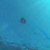 Mangueras Buddy Diver 2x6m AirBuddy