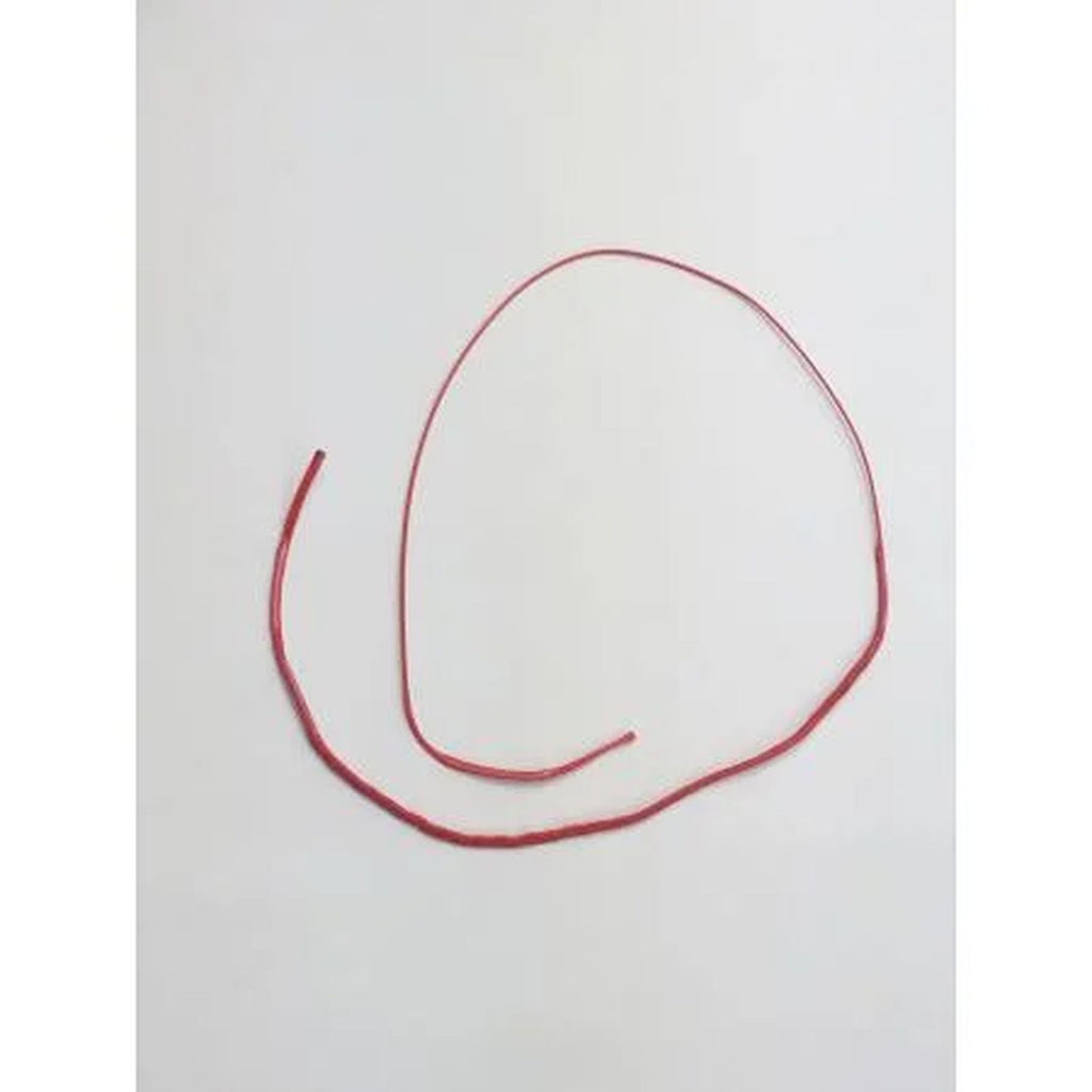 Linea di sicurezza Magnet PLKB AAPL0479