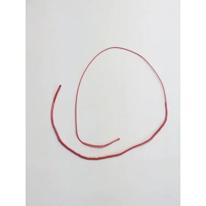 Linea di sicurezza Magnet PLKB AAPL0479