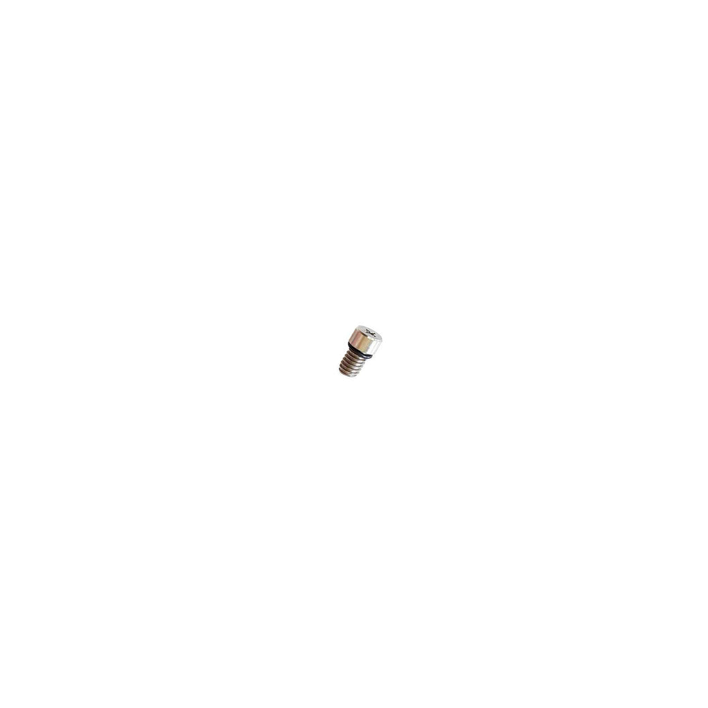 Screws Air Valve With O-Ring One Size RRD SCAV8