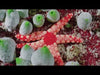 Traje Neopreno Mares Reef 3mm Hombre